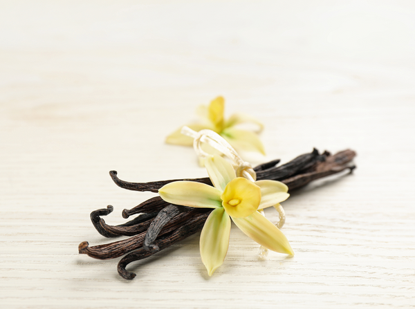 Organic Vanilla Oleoresin